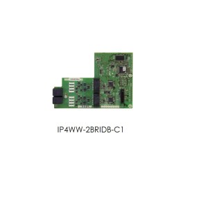 IP4WW-2BRIDB-C1  